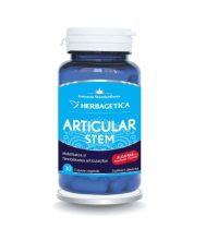 Articular Stem 30 capsule